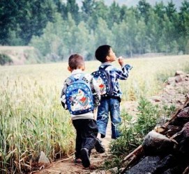 岑溪河南一家四口结伴游中国2个月(河南适合一家四口旅游的地方)