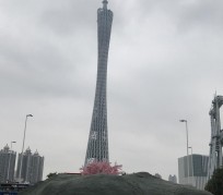 岑溪广州游玩攻略(广州游玩攻略景点大全免费)