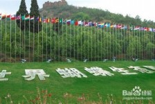 岑溪昆明旅游攻略(昆明旅游攻略景点大全抚仙湖)