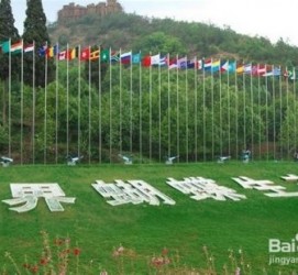 岑溪昆明旅游攻略(昆明旅游攻略景点大全抚仙湖)