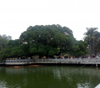 岑溪福州旅游攻略(福州旅游攻略二日游)