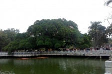 岑溪福州旅游攻略(福州旅游攻略二日游)