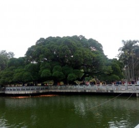岑溪福州旅游攻略(福州旅游攻略二日游)