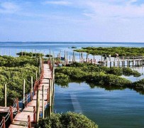 岑溪旅游哪里好玩(云南旅游哪里好玩)