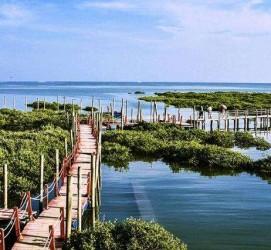 岑溪旅游哪里好玩(云南旅游哪里好玩)