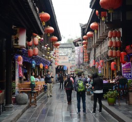 岑溪成都自助游(成都自助游住哪里方便)