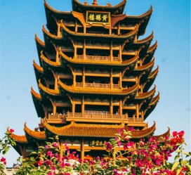 岑溪武汉游玩攻略(武汉游玩攻略路线)