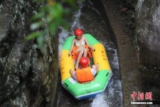 岑溪伴游中国三亚(三亚结伴旅游网)