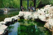岑溪济南旅游攻略(青岛威海济南旅游攻略)