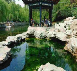 岑溪济南旅游攻略(青岛威海济南旅游攻略)