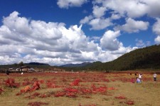岑溪旅游去处(暑期最好的旅游去处)