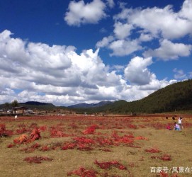 岑溪旅游去处(暑期最好的旅游去处)