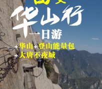 岑溪一日游(一日游需要准备些什么东西?)