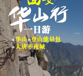 岑溪一日游(一日游需要准备些什么东西?)