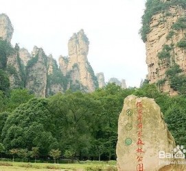 岑溪自驾旅游攻略(自驾旅游攻略app排行榜)