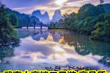 岑溪游跟团(旅游跟团)