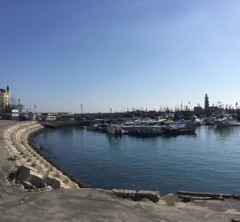 岑溪大连旅游攻略(大连旅游攻略自由行)