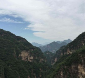 岑溪伴游中国伴游城(伴游网上海)